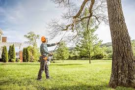 Best Hazardous Tree Removal  in Edinburg, VA