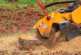 Best Lawn Drainage Solutions  in Edinburg, VA