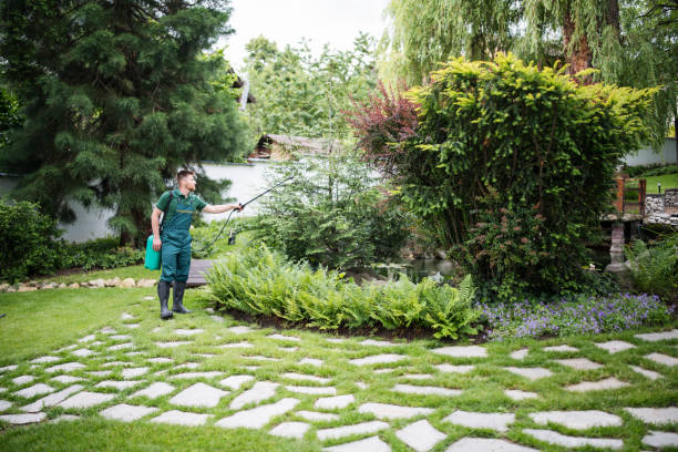 Best Lawn Mowing  in Edinburg, VA