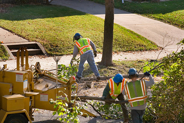 Best Soil Testing and Treatment  in Edinburg, VA